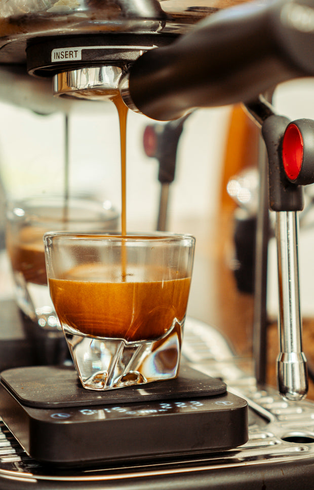 Banner image for: <h2>Brew Better Every Day</h2>